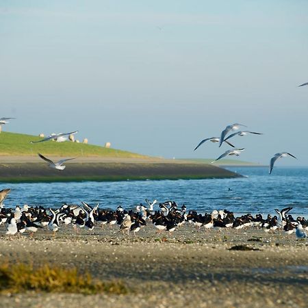 Breeze Ameland Hotel Hollum  Exterior foto