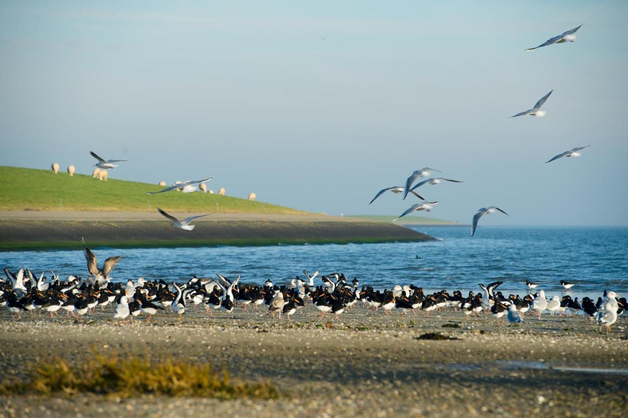 Breeze Ameland Hotel Hollum  Exterior foto